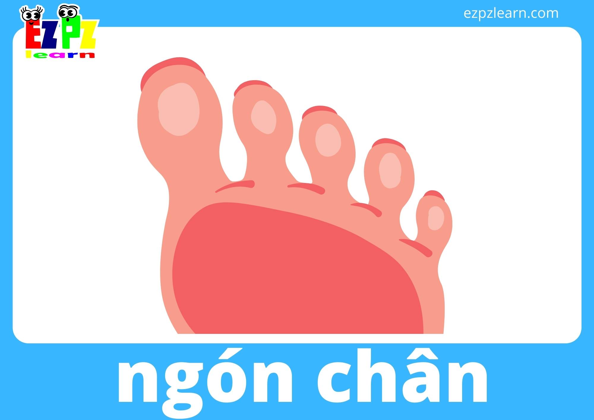 ngón chân